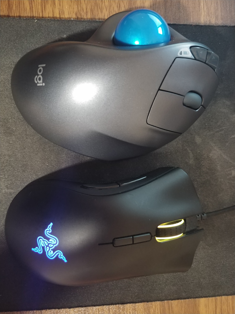 Illustration for article titled Mouselopnik. Update: I got another Deathadder. Update 2: Got a Logitech trackball